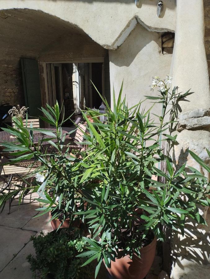 Chez Les Filles Bed & Breakfast Dions Luaran gambar